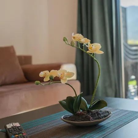 Merida Apartmán Bran (Brasov)
